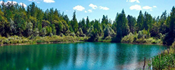 Курская область