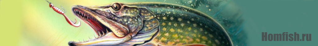 homfish.ru